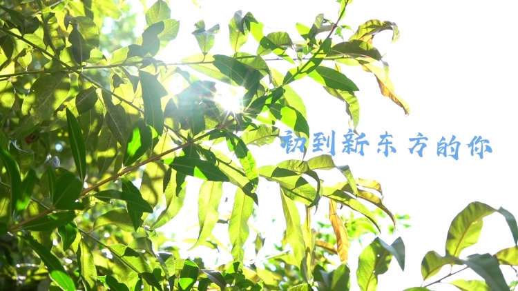 RϾҪ_W(xu)|ȁ˽°~