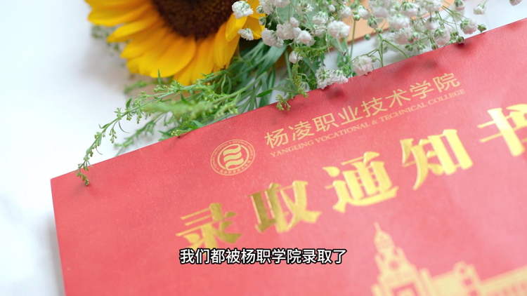 (yu)㮅I(y)|ψŬһAͨ^2024пԇɹϰ