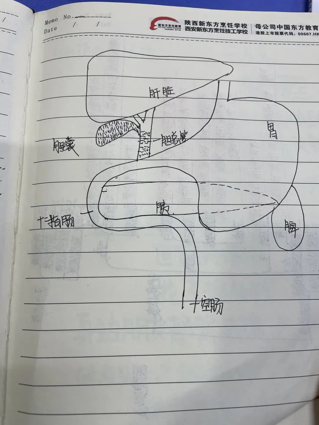 䡰Pӛl(f)nùPӛuxӽY(ji)ҕ